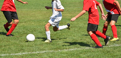 Obraz premium Young soccer players in action