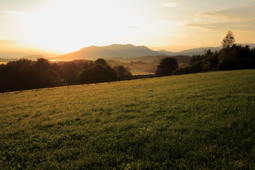 Obraz premium Wiese im Sonnenaufgang