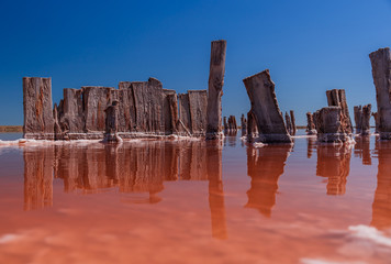 Wooden weathered posts in the form of a gate for salt extraction in pink water of salt lake with blue sky in Ukraine