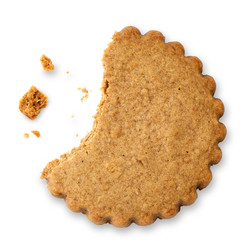 Partially eaten round gingerbread biscuit isolated on white from above. Serrated edge.