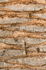 Old wood, background, texture