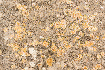 old stone background, texture