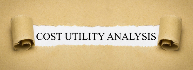 Cost utility analysis