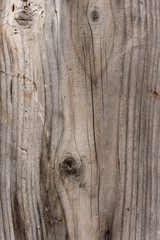 Old wood, background, texture