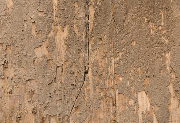Old wood, background, texture