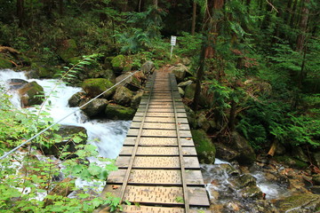 Obraz premium 阿寺渓谷 吊り橋