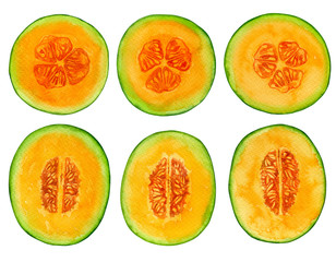 Melon slices painted with watercolors and isolated on white. Elements for design.