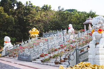 stairs leading to the Buddhist temple, filled with flowers and vases, white marble
