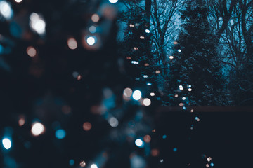 Snow covered evergreen trees at night with defocused illuminated Christmas tree in the foreground....