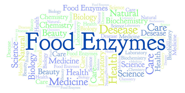 Food Enzymes Word Cloud.