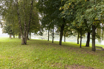 Fototapeta na wymiar park in early autumn
