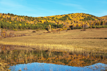 A beautiful autumn landscape with yellowed trees on a hills and a mirror image in a pond