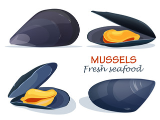 Mussels fresh seafood