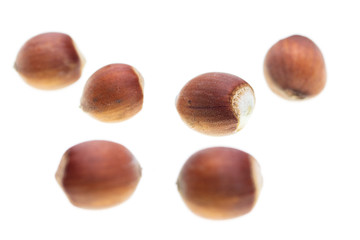 Ripe hazelnut nuts isolated on white background
