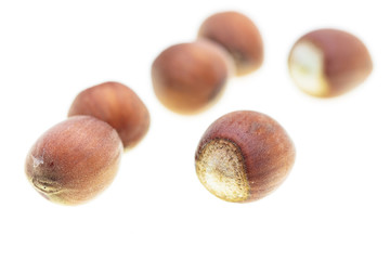 Ripe hazelnut nuts isolated on white background