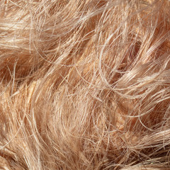 Hair on girl's head as an abstract background