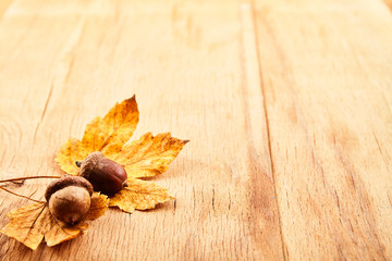 Autumn background with leaves