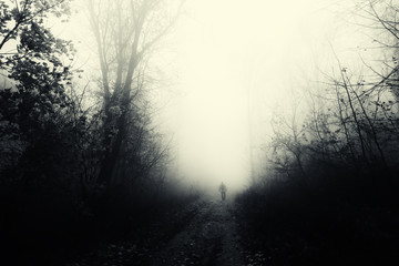 Fototapeta premium mysterious man silhouette in dark scary forest
