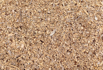 Wood sawdust on the ground as an abstract background