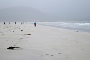 exploring luskentyre beach