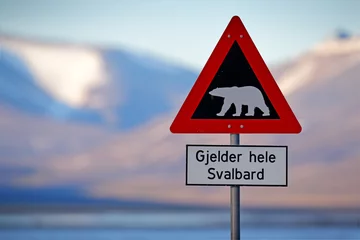 Papier Peint photo autocollant Ours polaire Panneau de signalisation routière rouge avec ours polaire. &quot Gjelder Hele Svalbard&quot  signifie &quot Sur tout le Svalbard (attention aux ours polaires)&quot . Ours polaire avec montagne enneigée, Svalbard. Voyager dans l& 39 Arctique.