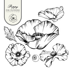 Decorative elements set. Hand drawn vector ink illustration of poppy flowers. 