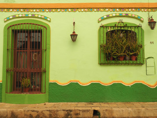 Green house wall with plants San Cristobal de las casas in Mexico