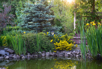 Landscape composition with yellow flowers