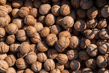 Whole walnuts background