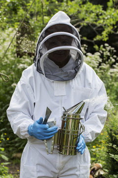 Beekeper wearing protective suit at work, holding metal smoker to calm bees.