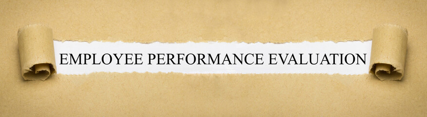 Employee performance evaluation