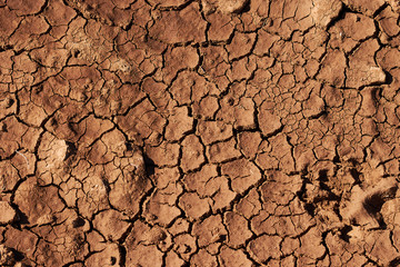 Structure of a land