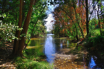 Bullaque River in the natural setting of the Tablas de la Yedra, Piedrabuena, Ciudad Real, Spain.