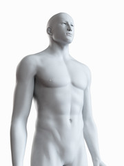 Fototapeta premium 3d rendered medically accurate illustration of a grey male body
