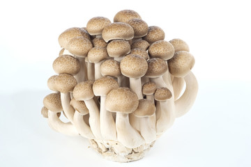 'Mushroom' good food from nature for good health.