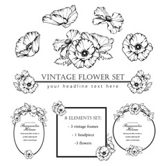 Decorative elements set. Hand drawn vector ink illustration of poppy flowers. Picture frames.