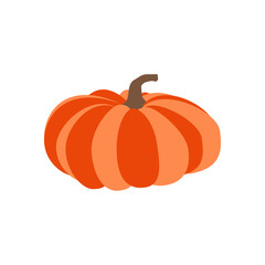 Pumpkin autumn illustration