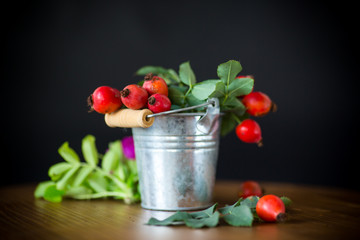 Ripe red briar berries on a branch