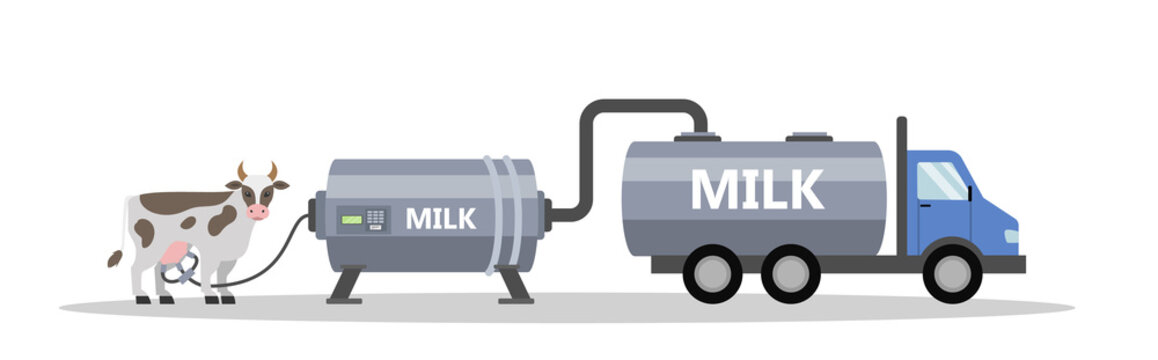 Cow and milking machine. Automatic milk production