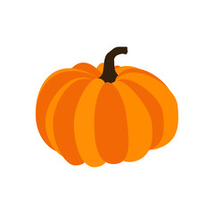 Pumpkin autumn illustration