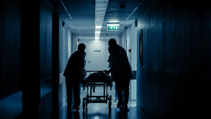 Emergency Department: Silhouettes of Doctors, Nurses and Paramedics Run and Push Gurney / Stretcher...