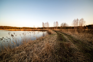 lake shore with grass and trees in spring