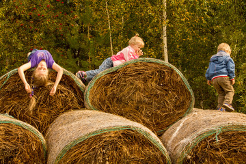 children play in the hay on a warm autumn day