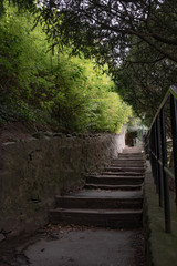 Stone steps and wall in English countryside