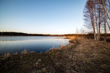 lake shore with grass and trees in spring