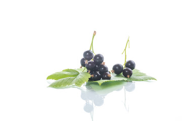 ripe berries black currant on white background