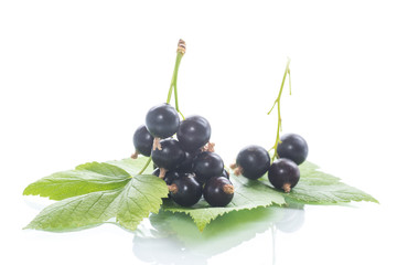 ripe berries black currant on white background