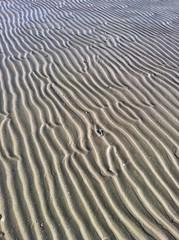 Il Mare e la sabbia
