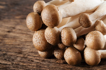 'Shimeji mushroom' good food for good health.
