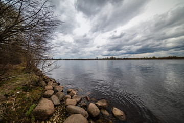 lake shore with grass and trees in spring